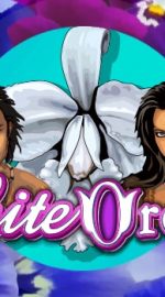 Грати у Онлайн Слот White Orchid - Огляд, Демо, Бонуси